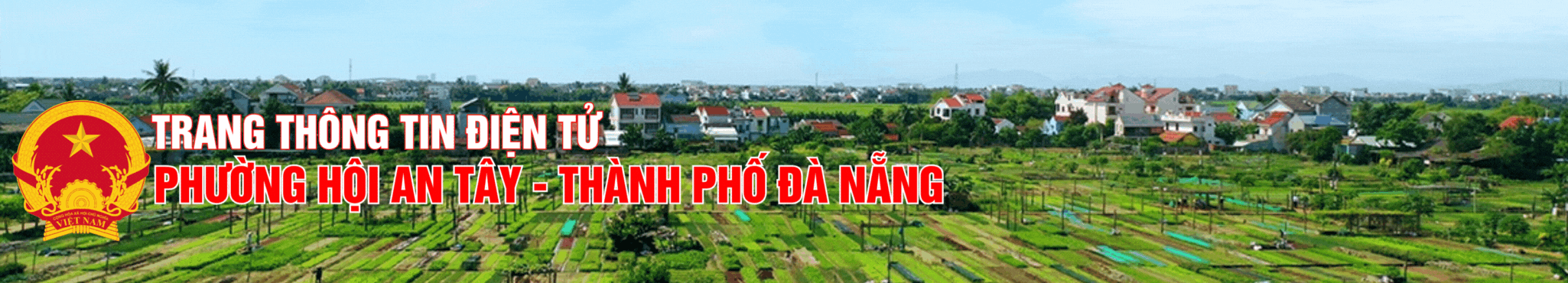image banner
